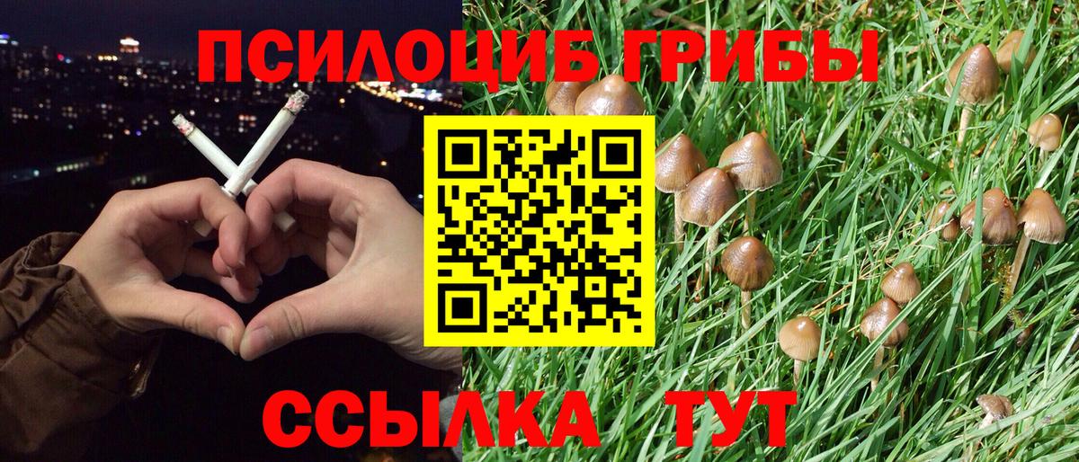 Белорецк  Псилоцибиновые грибы MAGIC MUSHROOMS  Вход с VPN 